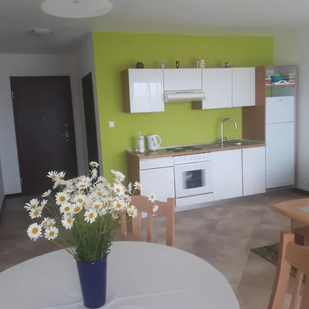 Apartment Gemuetliche Mit Toller Aussicht *